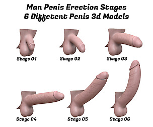 Man Penis Erection Stages Collection