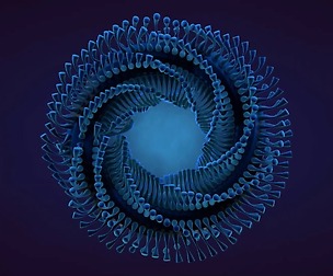 Abstract Animation