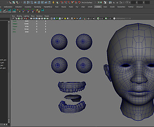 Head with Single symmetrical and Multi UV Sets