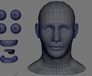 Head with symmetrical UV