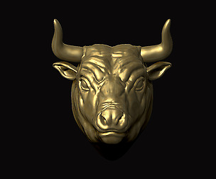 Bull Head 3D