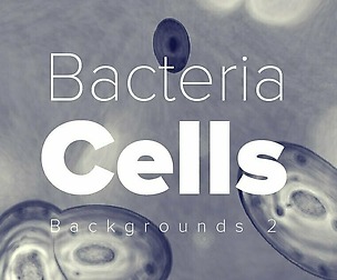 Bacteria cell backgrounds