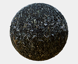 Black Tea Leaves PBR Texture