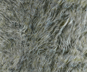 Reindeer Fur 2 - 8K ST (5 variations)