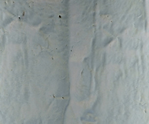 Reindeer Hide 2 - 8K ST (5 variations)