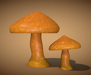 Mushroom 1