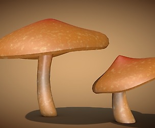 Mushroom 2