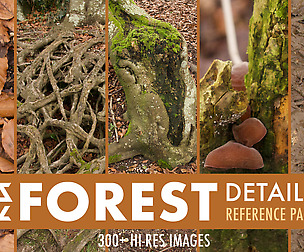 Forest details Photo Reference Pack