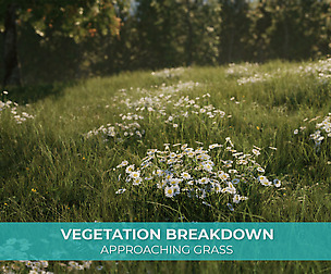 Vegetation Breakdown - Approaching Grass