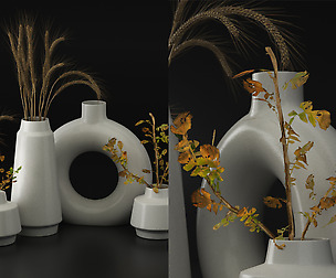 Hoa Ceramic Vases