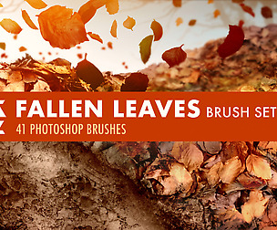 Fallen Leaves Brush Set
