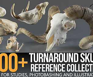 1200+ Turnaround Skull Collection Refpack