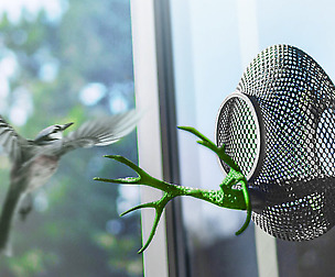 Bird Feeder 4.0