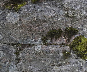 Mossy Stone - 8K ST (5 variations)