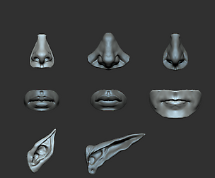 Face Parts IMMBrush 2.0