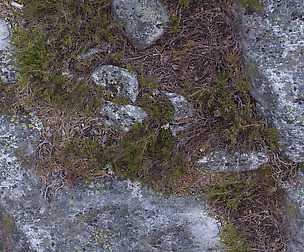 Mossy Stone 3 - 8K ST (5 variations)