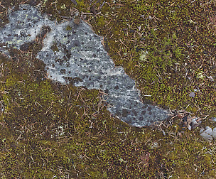 Mossy Stone 5 - 8K ST (5 variations)