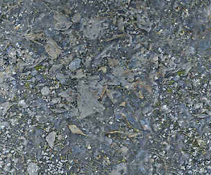 Stone 7 - 8K ST (5 variations)