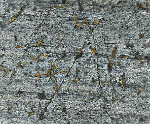 Stone 9 - 8K ST (5 variations)
