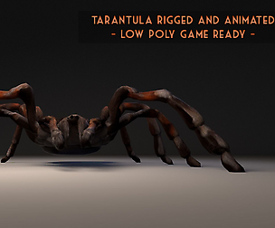 PBR Tarantula rigged and animated