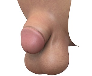 Adult Realistic Small Man Penis