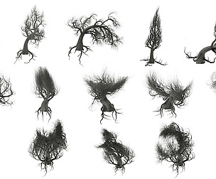 15 Growth Tree Game Models