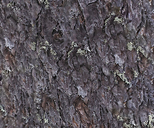 Tree Bark - 8K ST (5 variations)