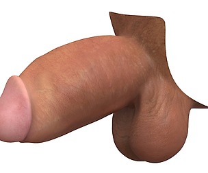 Adult Monster Thick Man Penis