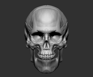 Skull