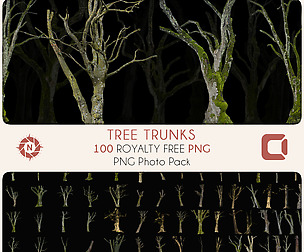 Tree Trunks - PNG Photo Pack