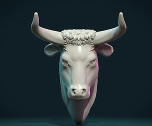 Bull  Head