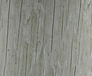 Tree Bark 11 - 8K ST (5 variations)