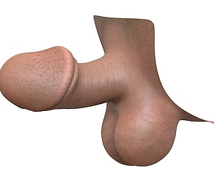 Small Fantasy Man Penis