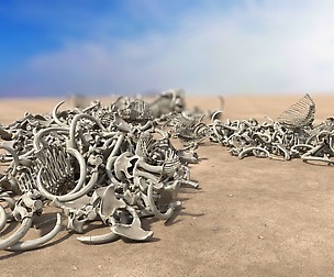 Bone Piles Collection
