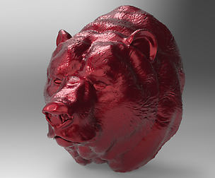 bear