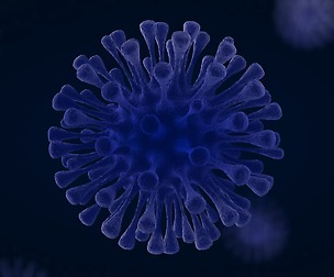 Virus 1