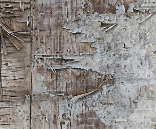 Wood Panel 9 - 8K ST (5 variations)