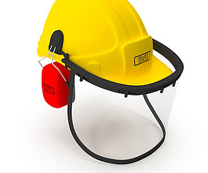 Safety Helmet with Face and Ears Cover