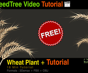 Wheat Plant + Modeling tutorial