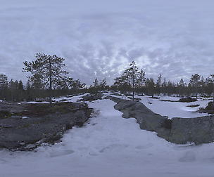 Nature HDRI - Northern Spring Forest