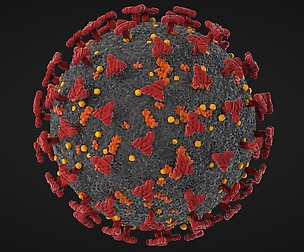Corona Virus - Covid 19