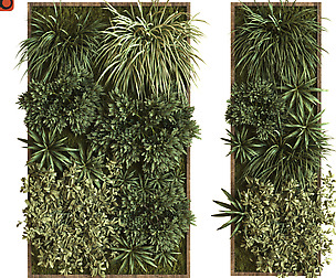 green wall vertical plant set 036
