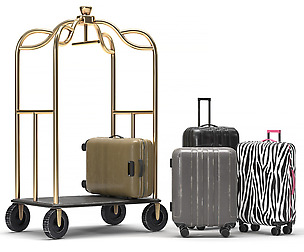Cart and Luggage