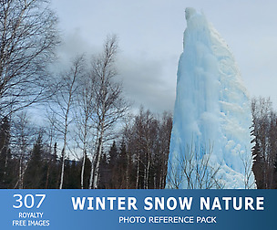 Winter Snow Nature