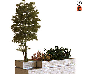 tree 035