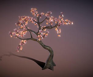 cherry tree