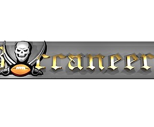 Tampa Bay Buccaneers logo banner no flag