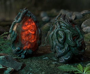 Dragon Egg - 06