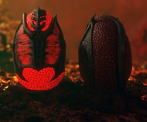 Dragon Egg - 09