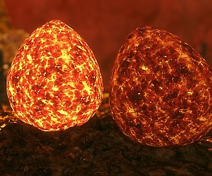 Dragon Egg - 15